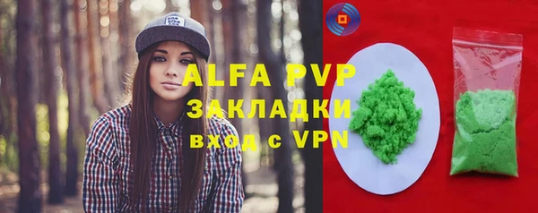 круглые Гусев