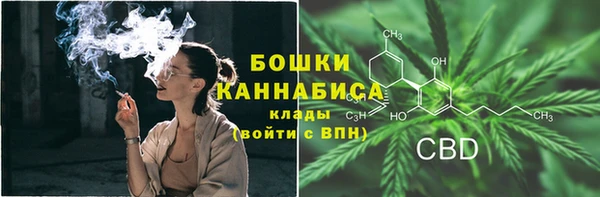 ПСИЛОЦИБИНОВЫЕ ГРИБЫ Гусь-Хрустальный