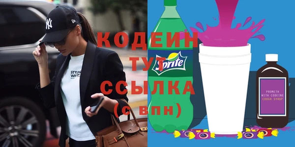 круглые Гусев