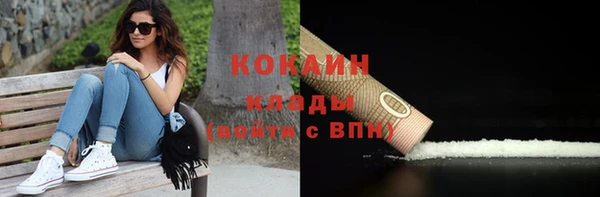 круглые Гусев