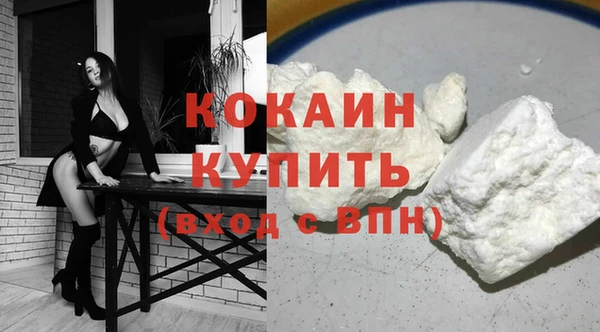 ПСИЛОЦИБИНОВЫЕ ГРИБЫ Гусь-Хрустальный